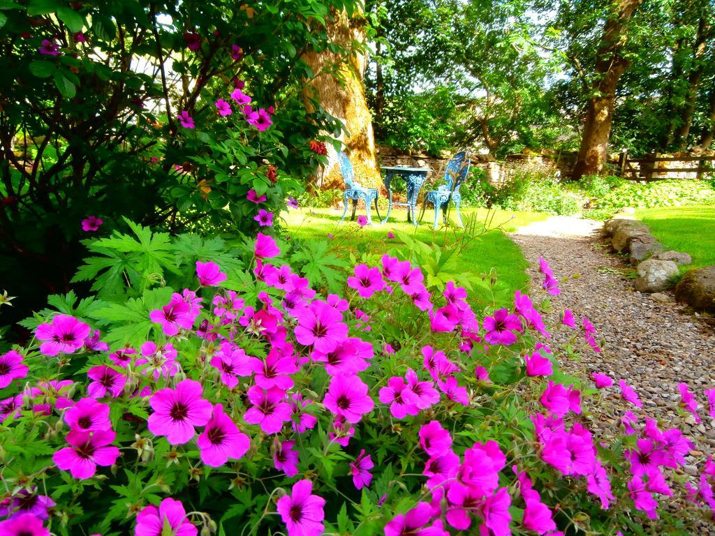 Bed & Breakfast Riverside 3*